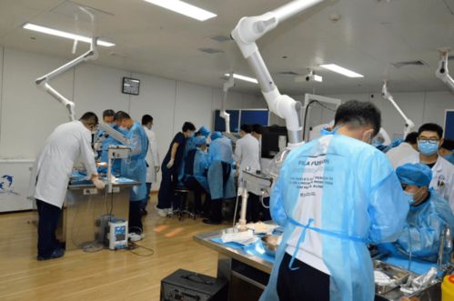 第八期吉林省神经外科专业技术质量控制培训班圆满闭幕，开创影视专业技术培训新篇章